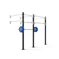 10' Wall Mount Competition 80x80 Rig