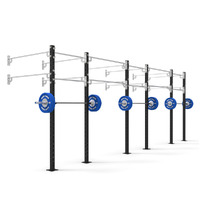 24' Wall Mount Competition 80x80 Rig